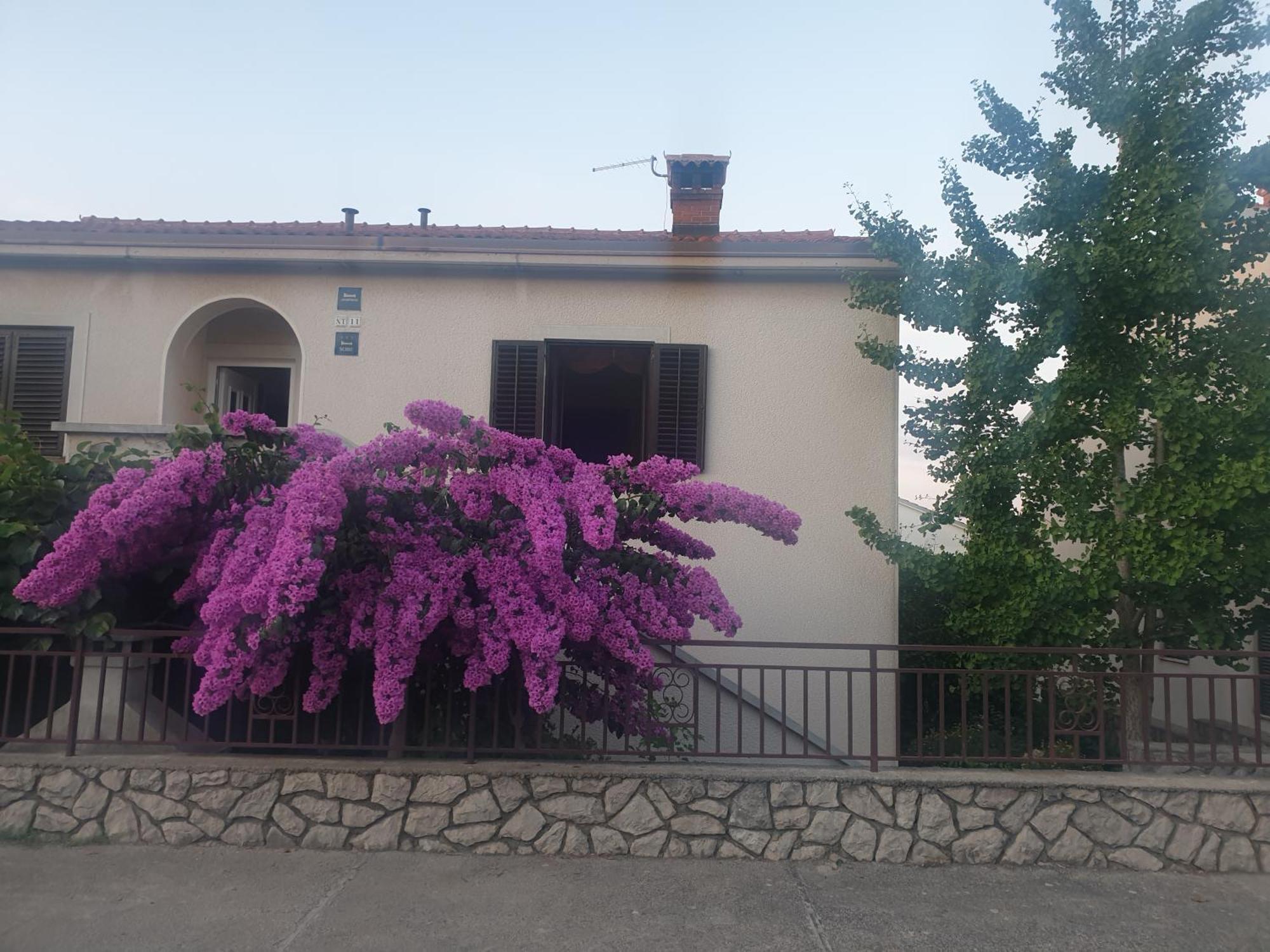 Apartments Mara Mali Lošinj Esterno foto